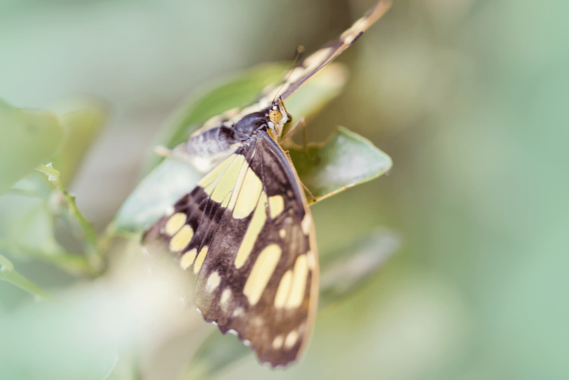 coaching_potenzialentfaltung_ret